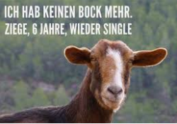 0 Bock.png