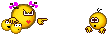 00002839.gif