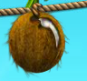 001_Ansicht_Kokosnuss_ungeöffnet.PNG