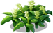 0604-6[1].png