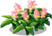 0604-7[1].png