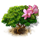 0704.4[1].png