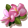 0904-1[1].png
