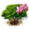 0904-3[1].png