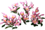 0904-4[1].png