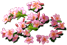 0904-5[1].png