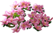 0904-6[1].png