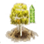 0OiYqFR.png