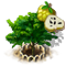 1101-5[1].png