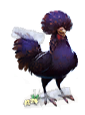 [1111]Zoo_Breeding_July2024.png