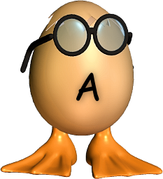 13.png