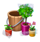 1312.png