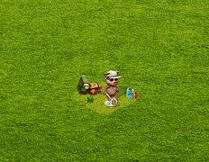13d84df1537886f1d9f6a377ef7f2d2b56194fa1[1].gif