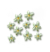 13sw4yQ[1].png