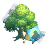 1443.png