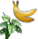1595_Huebsche_Aeffchen.png