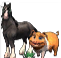 [1767].png