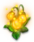 1904-6[1].png