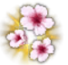 1920.png