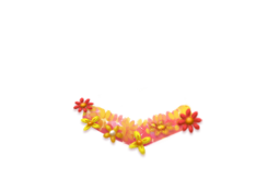1x1_top[1].png