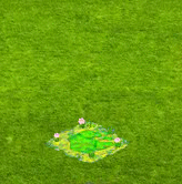 2016-10-15_16h24_27[1].gif