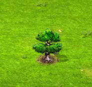 2017-04-15_23h27_12[1].gif