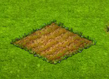 2017-06-24_14h58_59[1].gif