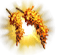 2021-06-22 17_31_27-Die_Jagd_nach_dem_Boojum (2).png