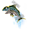 387_thumbnail[1].png