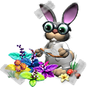 388[1].png