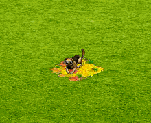 483e71f1ec48abdca8334a61a7b7bc5459dcb73d[1].gif