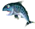 4V34Sf1[1][1].png