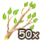 50 Äste.png