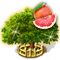 572bdbc8994514a01b9f088af963bc32560ebbf0[1].png