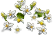 5c9f9c9b1188f0d60c4ef3fc400035f8560ebc31[1].png