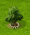 5j4inbdx[1].gif