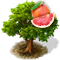 91253815b5aeea47c07c10299ddb706f560ebb7f[1].png