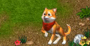 952298547543924fc1dc0b235daafad456349e9a[1].gif