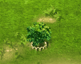 abiu_upgrade_1.gif