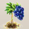 Acai-Beere.png