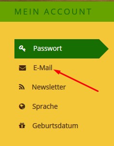Account-Einstellungen E-Mail.jpg