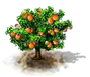 Achacha.png