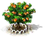 Achacha xl.png