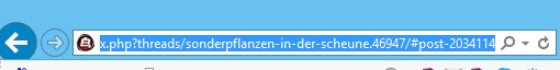 Adresszeile vom Browser.jpg