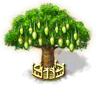 Affenbrotbaum xxl.png