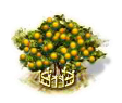 Affenorangenbaum xxl.png