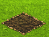 agave.gif