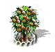 Ahuehuete xl.png