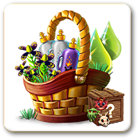 airraceoct2024basket2.png