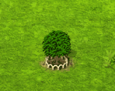 Akee 1.gif
